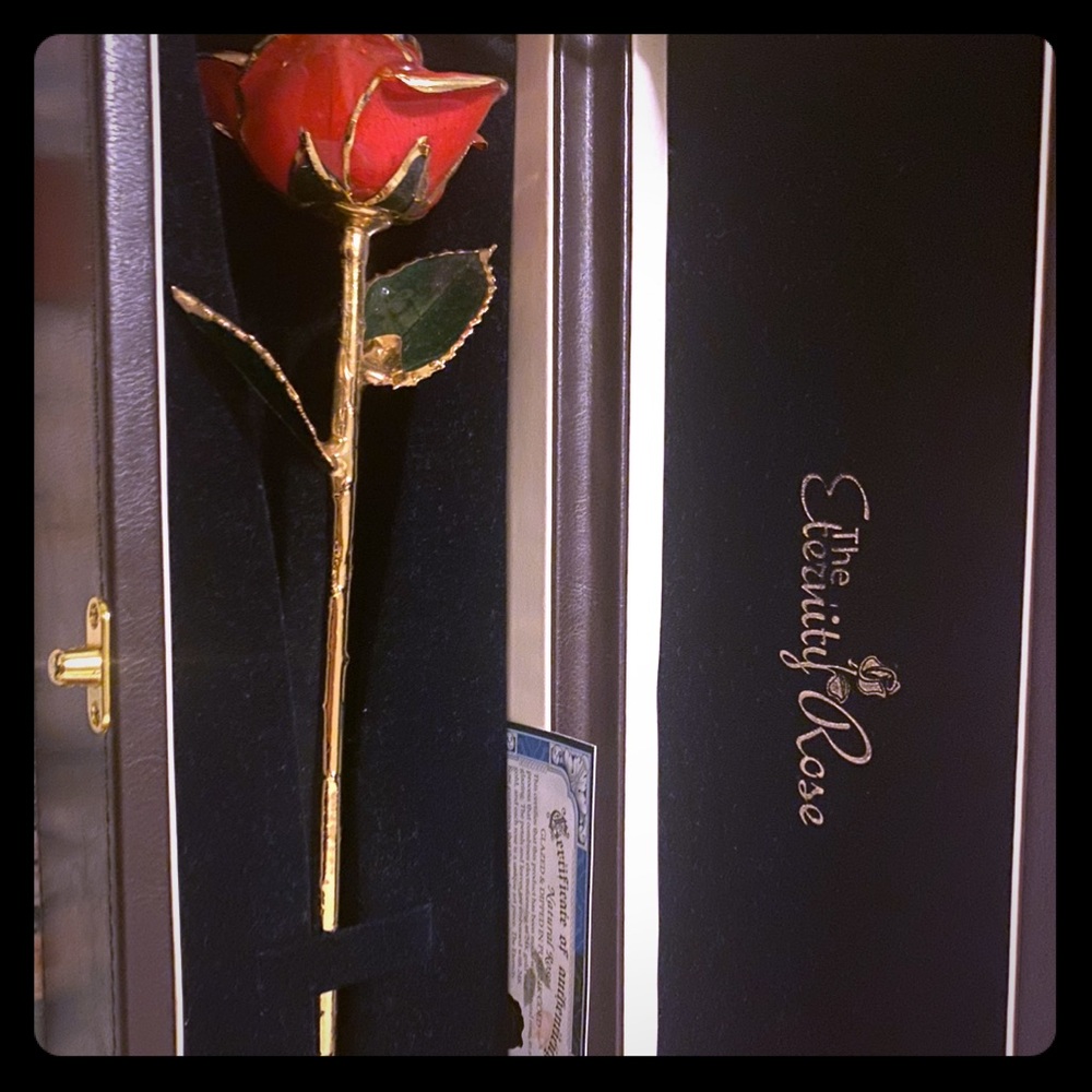 ♾🌹 Eternity rose 24k gold ♾🌹